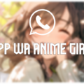 pp wa anime girl