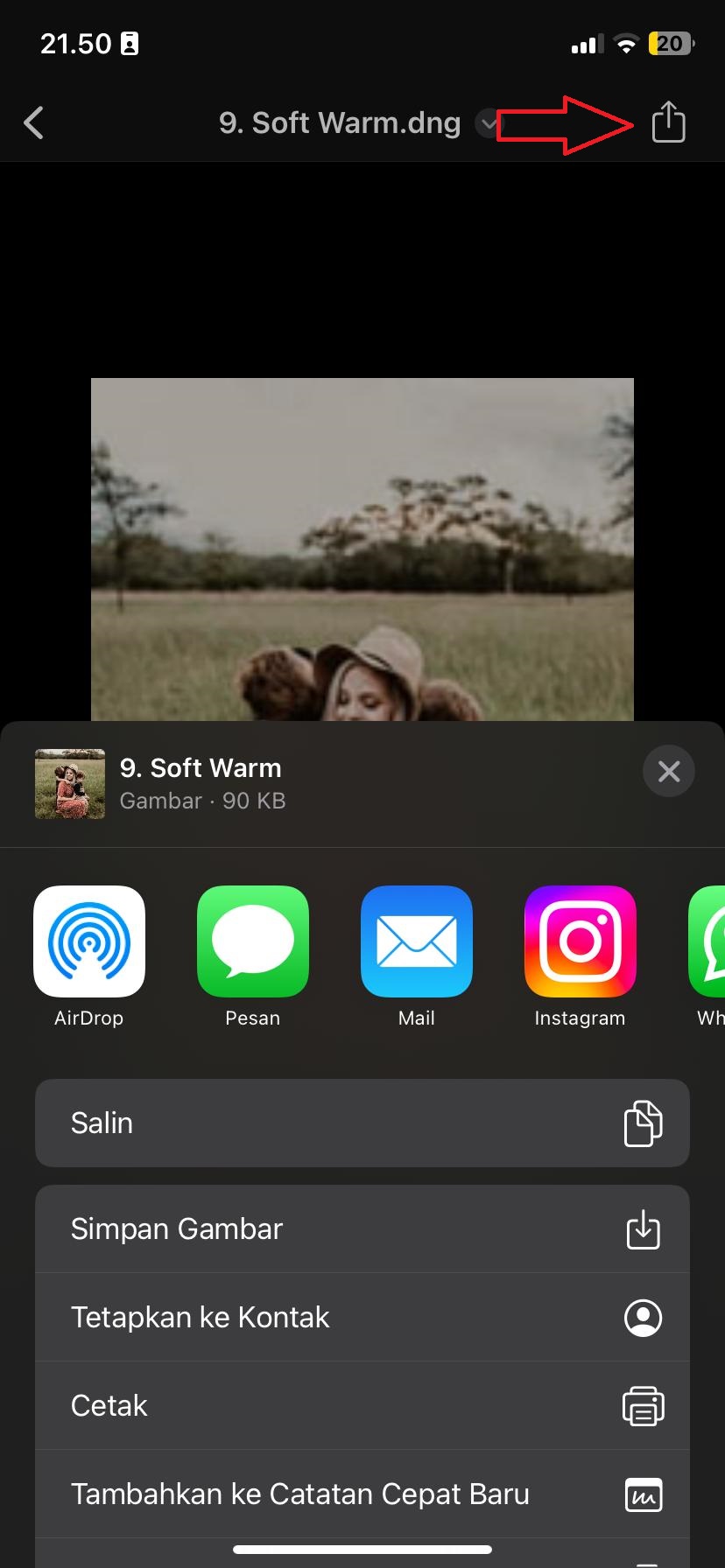 cara menggunakan preset lightroom di iphone
