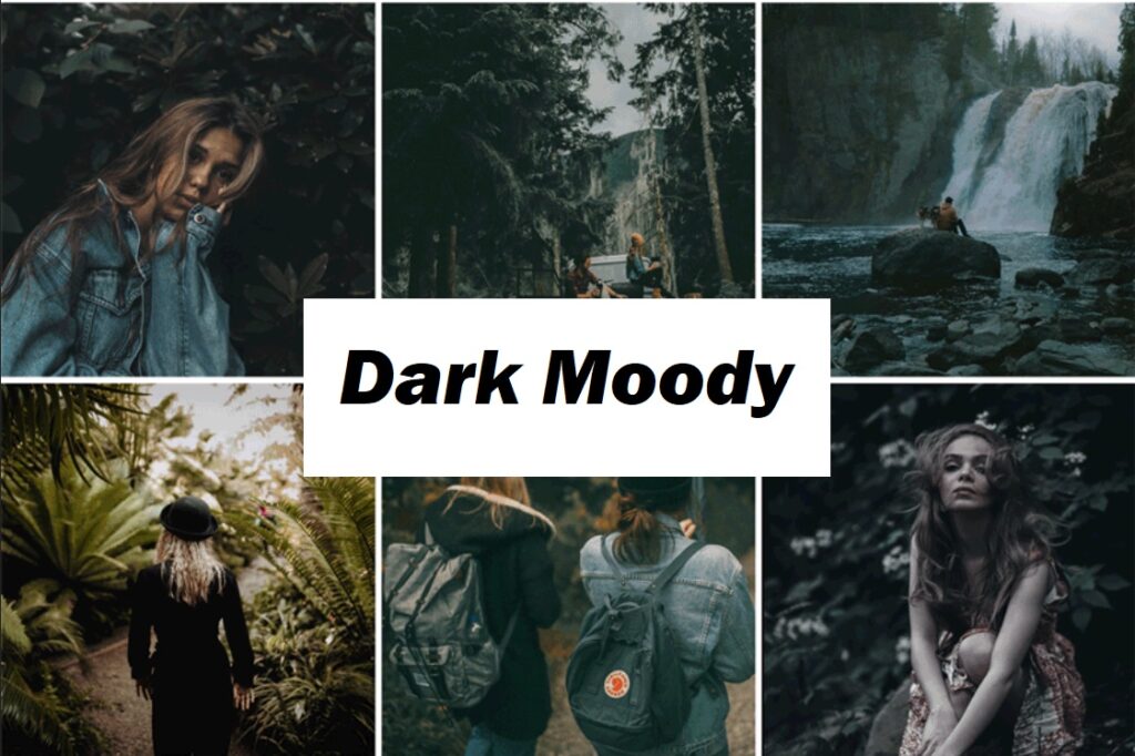 preset lightroom dark moody