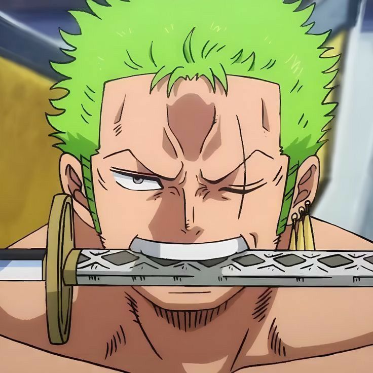 PP Zoro One Piece