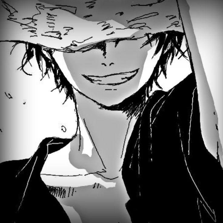 photo profil luffy